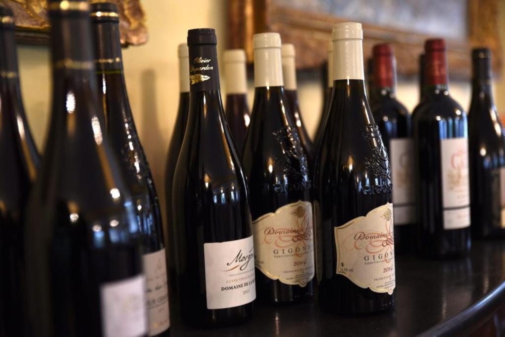 Chateau De Passieres Chichilianne 외부 사진