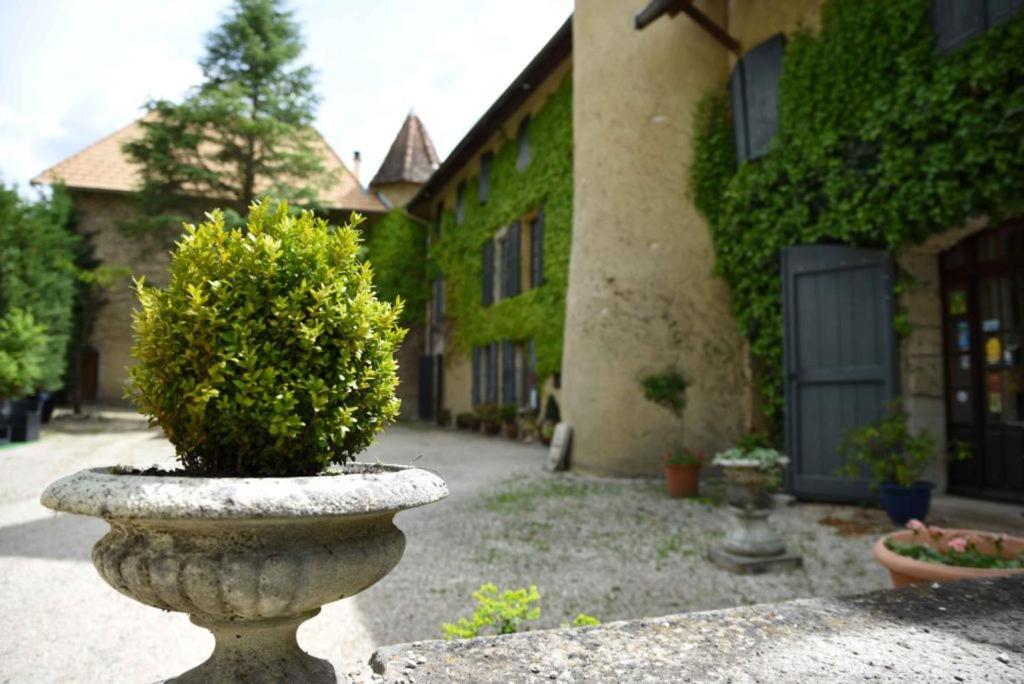 Chateau De Passieres Chichilianne 외부 사진